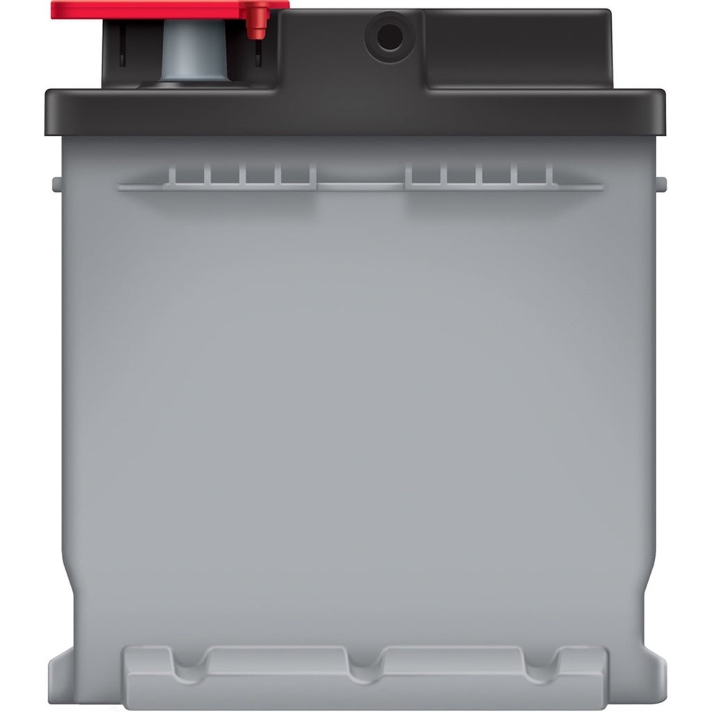 EverStart Platinum AGM Automotive Battery, Group Size H7 / LN4 / 94R, 12 Volt, Minimum 800 CCA